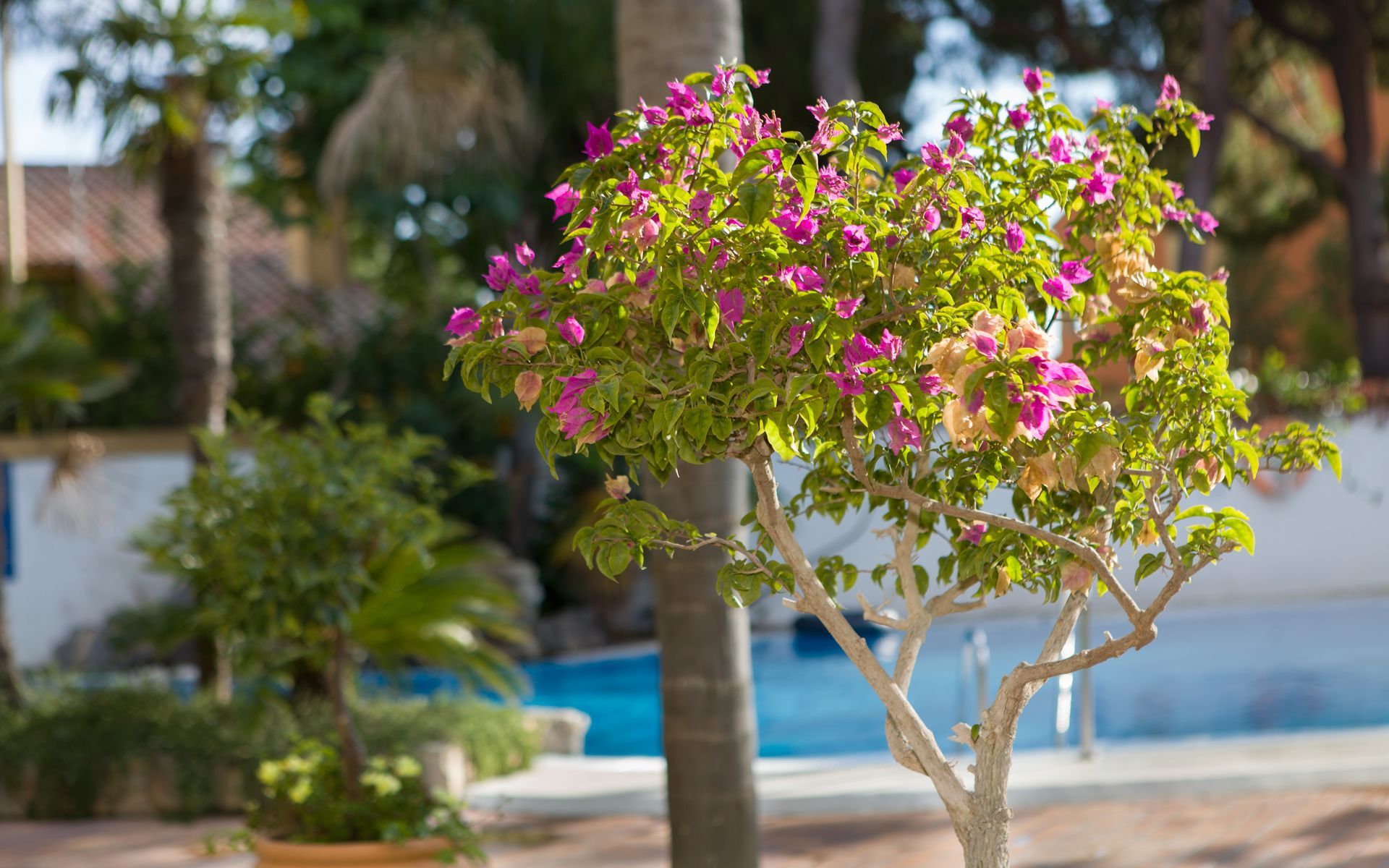 Hotel Soho Boutique Vistahermosa El Puerto de Santa María Εξωτερικό φωτογραφία